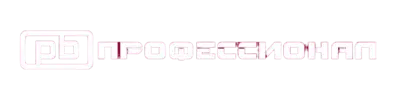 Профессионал